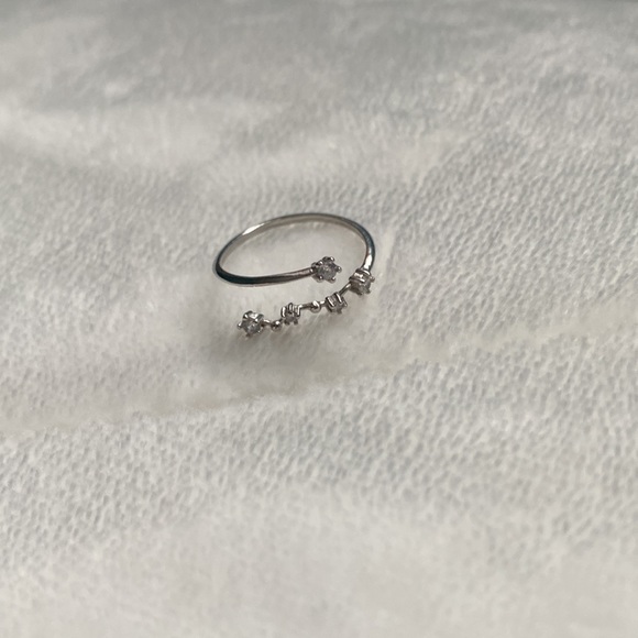 pisces silver ring - Picture 3 of 3